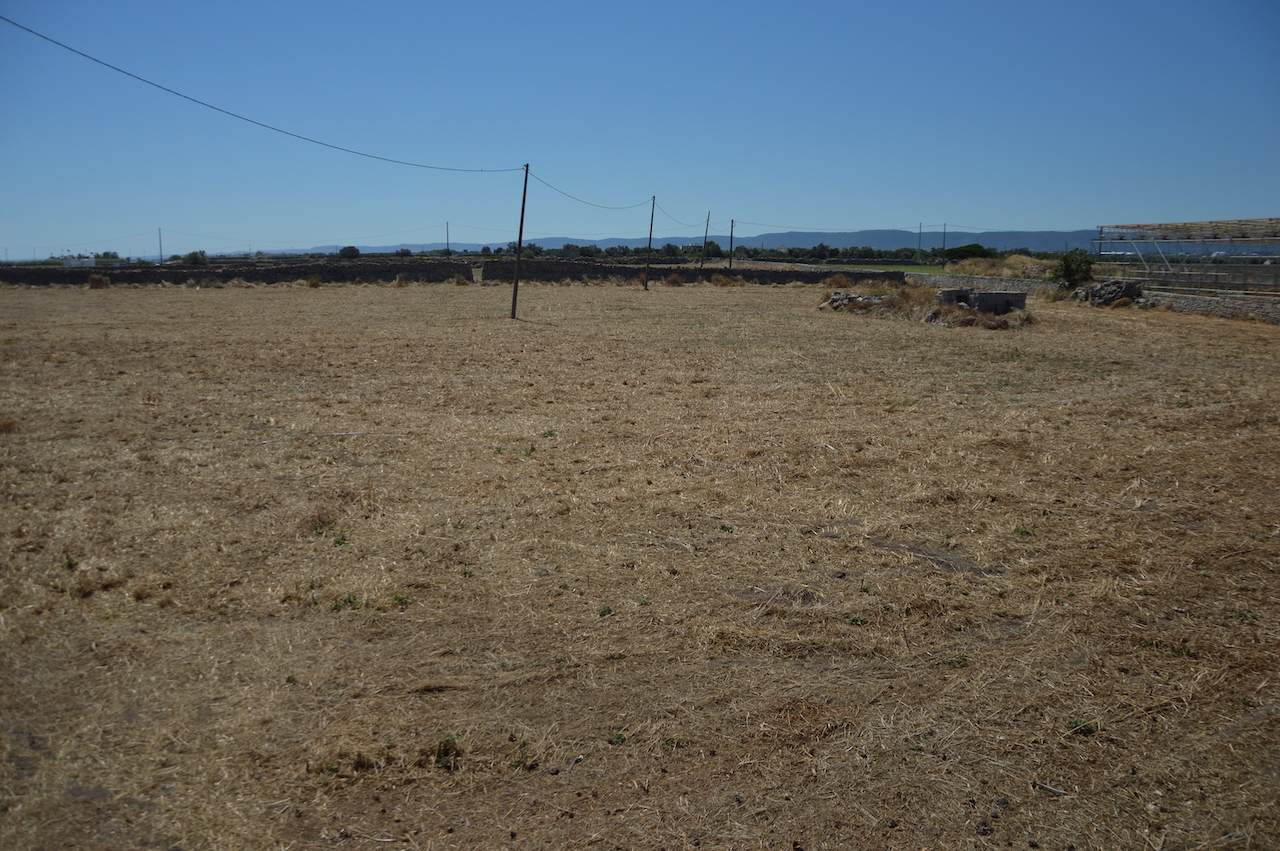 area del foro